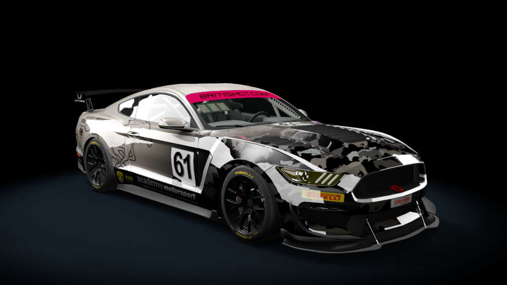 Ford Mustang GT4 Preview Image