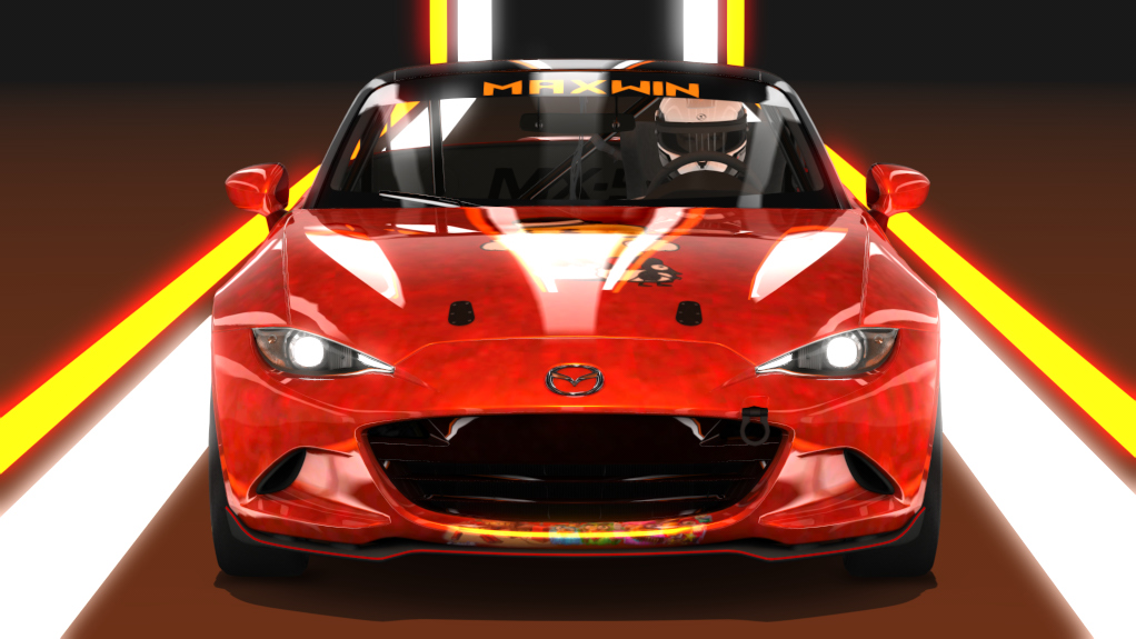 Car Skin