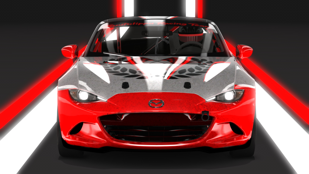 Car Skin