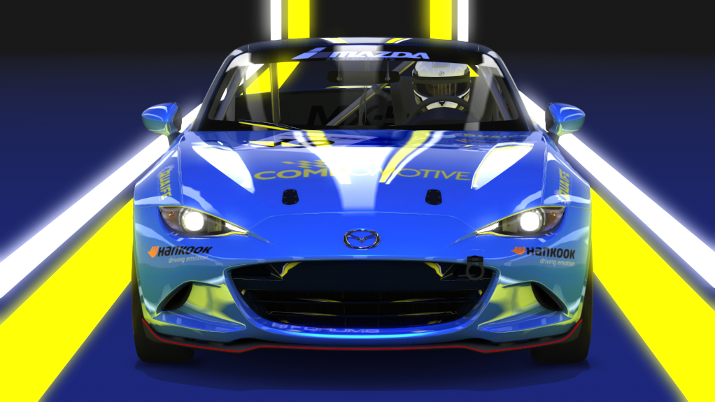 Car Skin