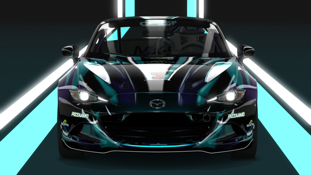 Car Skin