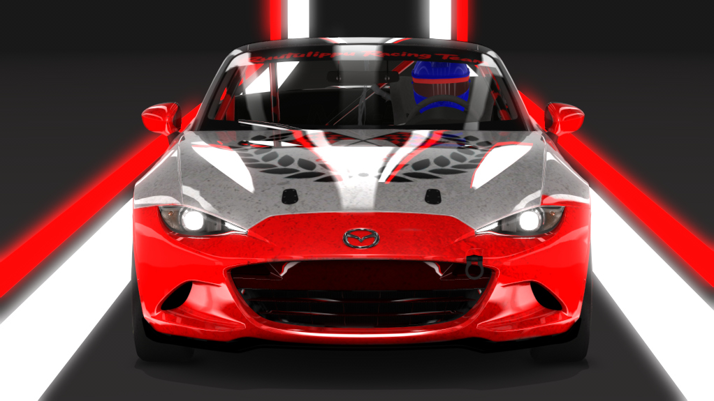 Car Skin