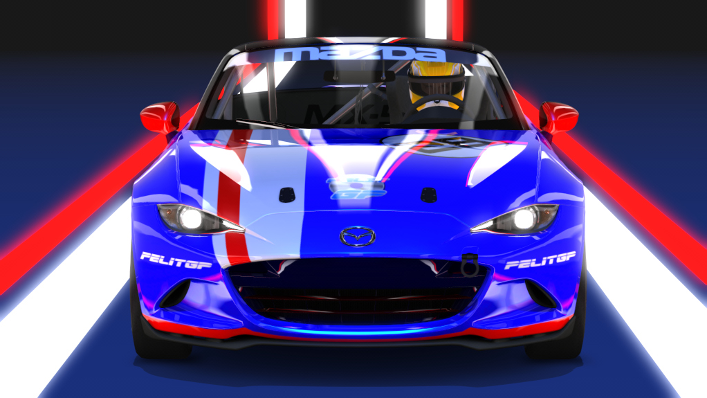 Car Skin