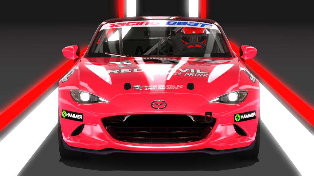 Car Skin