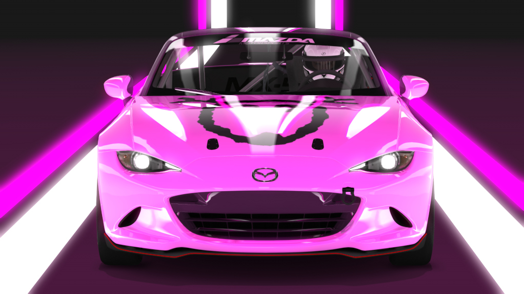 Car Skin
