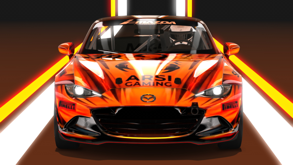 Car Skin