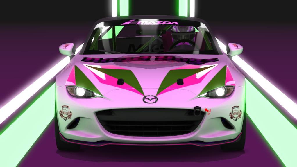 Car Skin