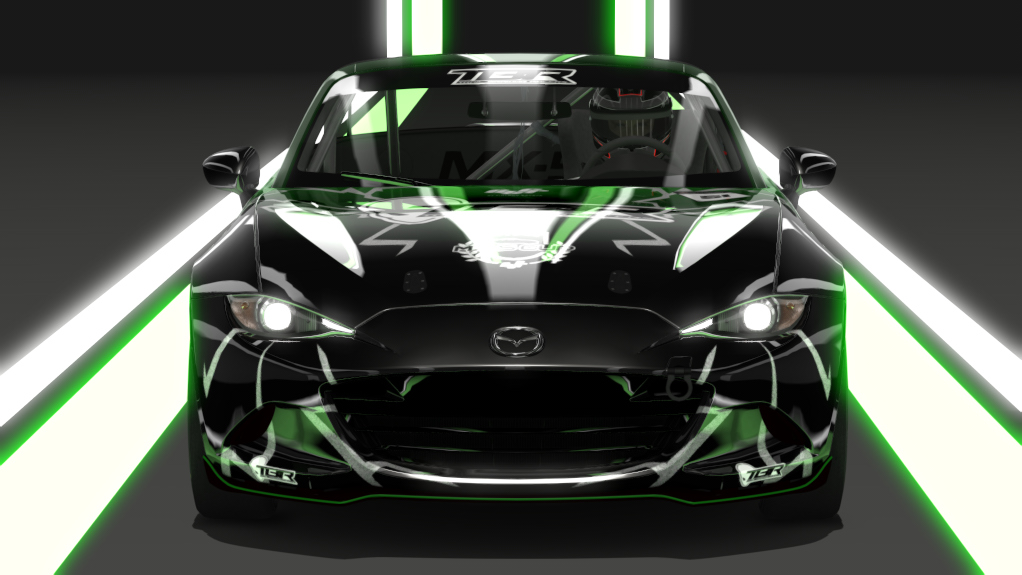 Car Skin