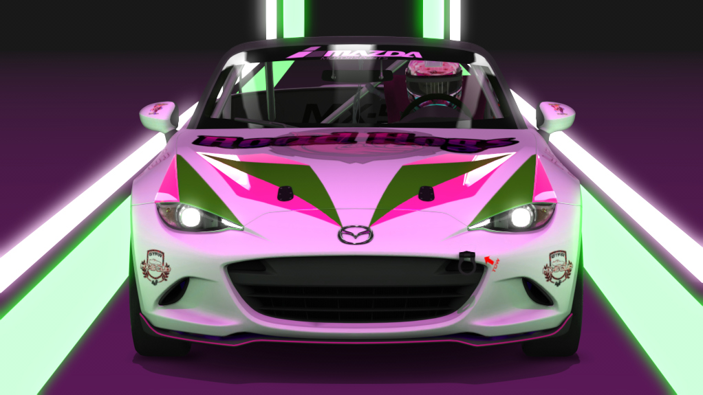 Car Skin