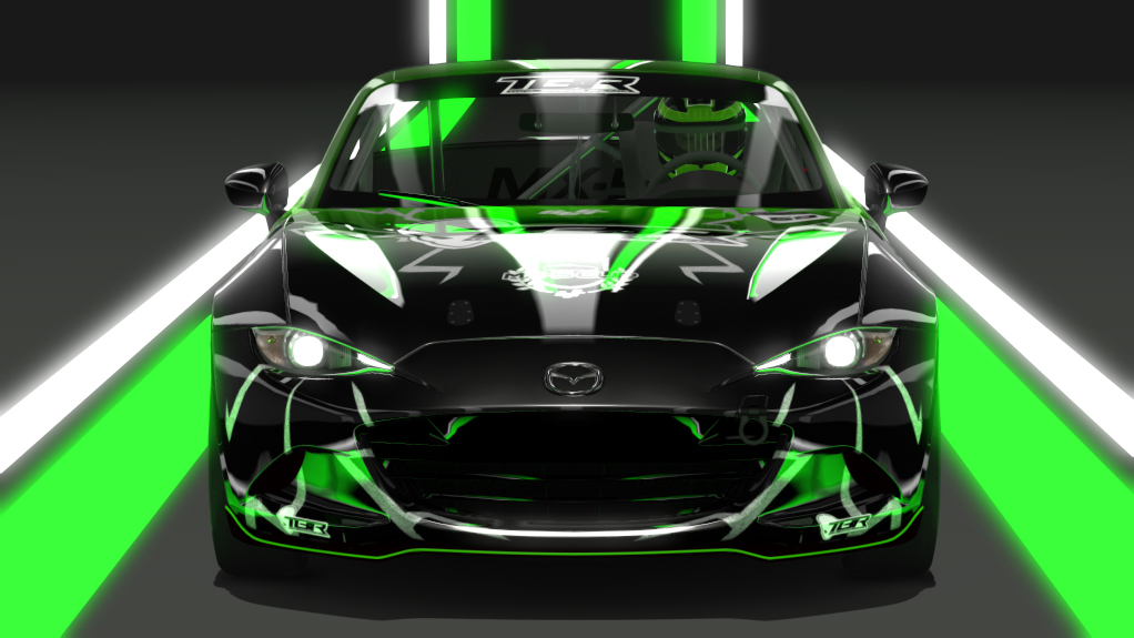 Car Skin