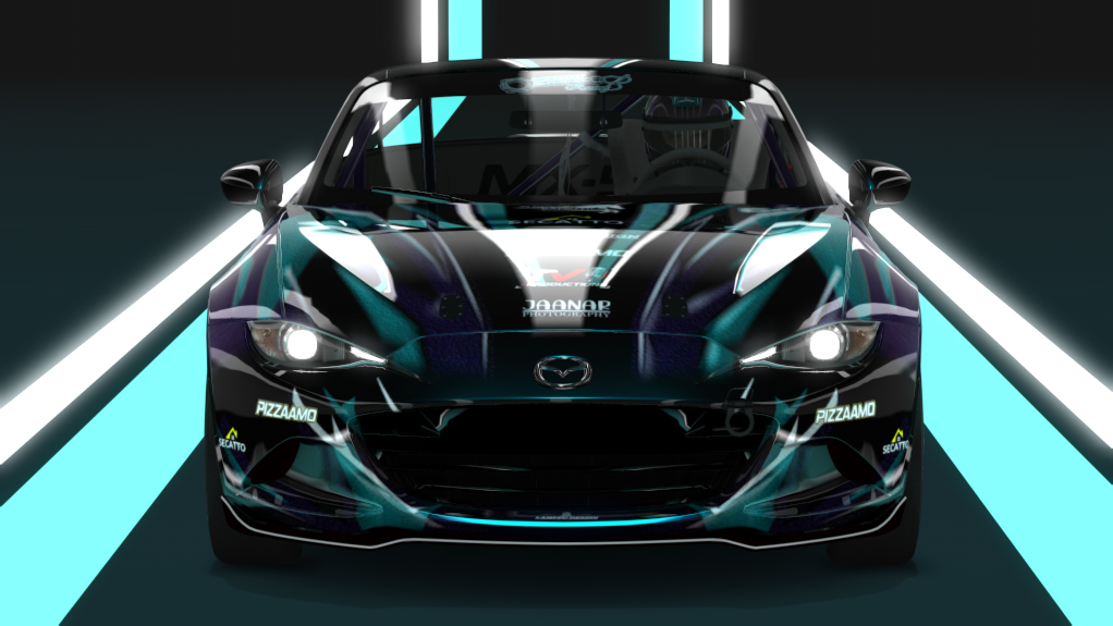 Car Skin