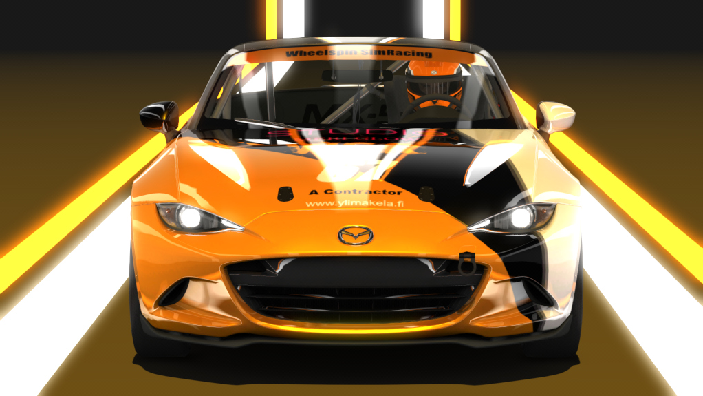 Car Skin