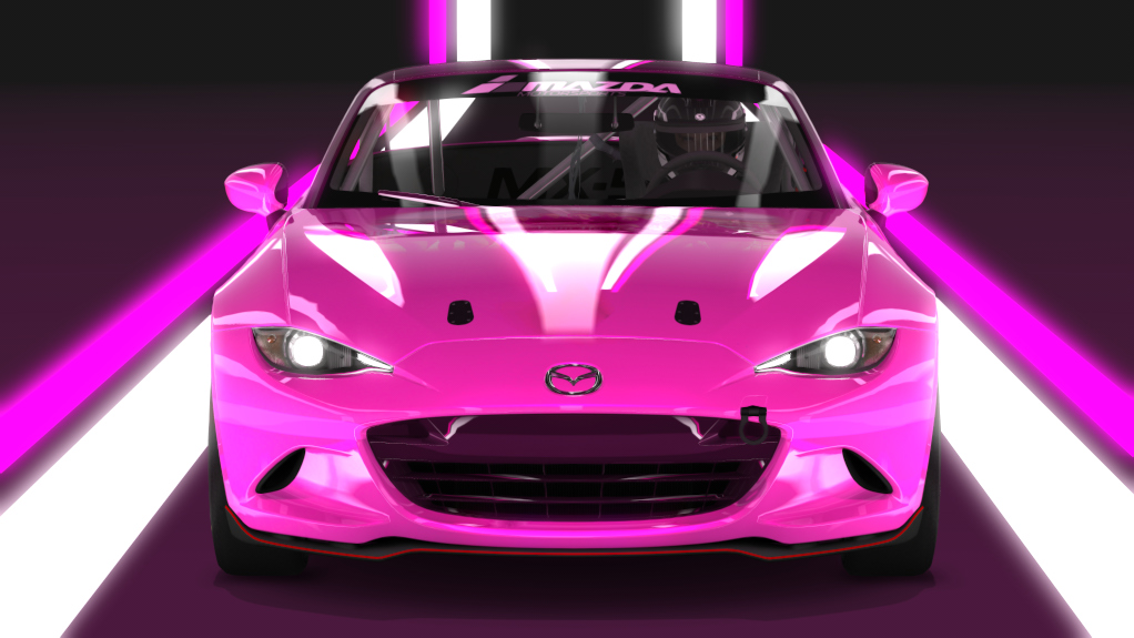 Car Skin