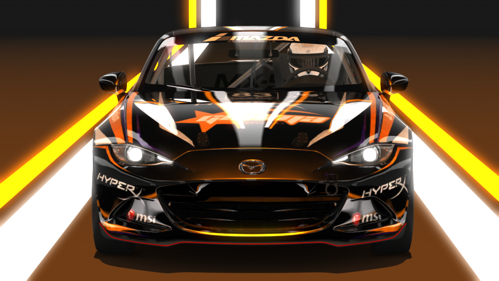Car Skin