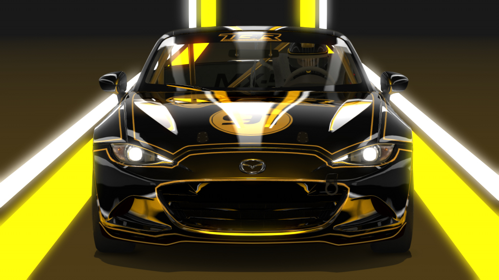Car Skin