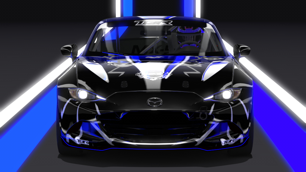 Car Skin