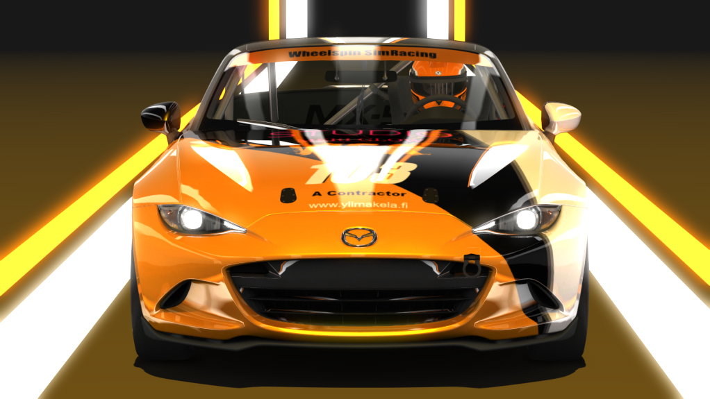 Car Skin