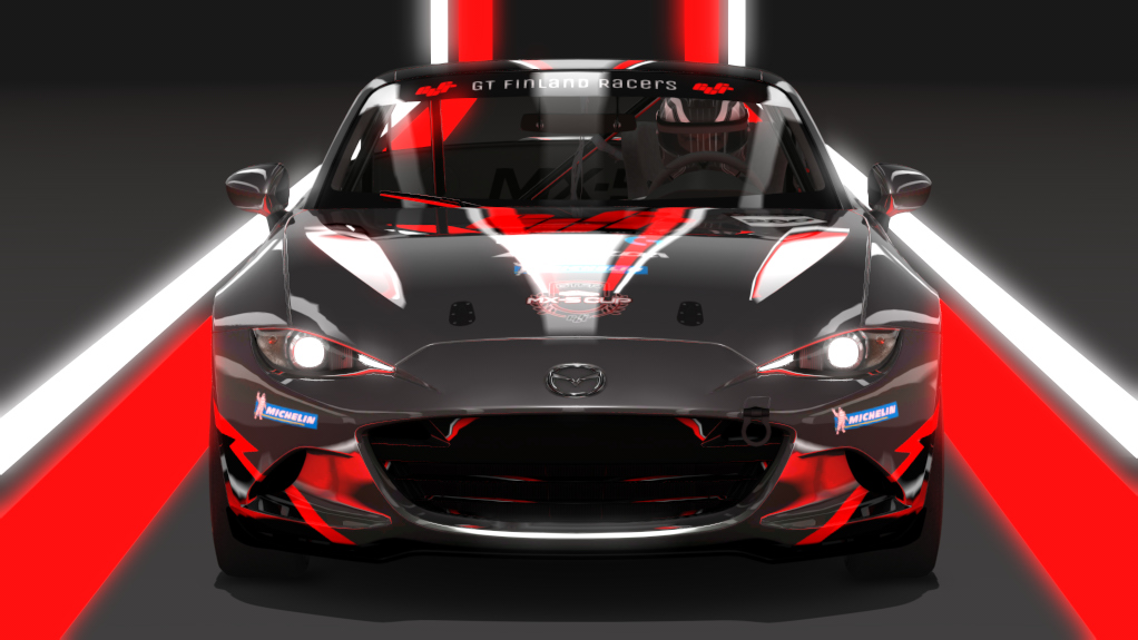 Car Skin