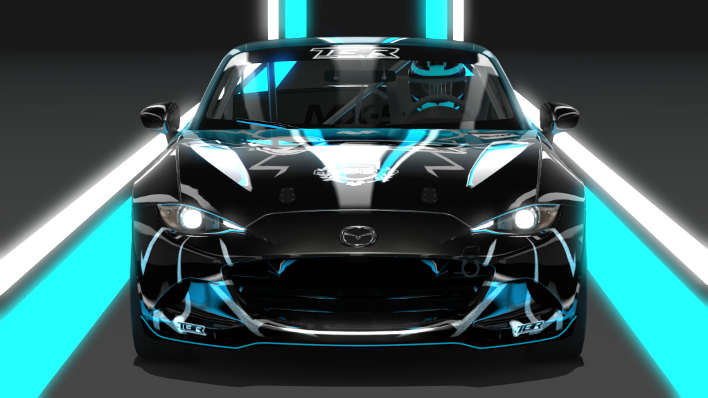 Car Skin