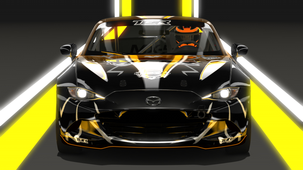 Car Skin