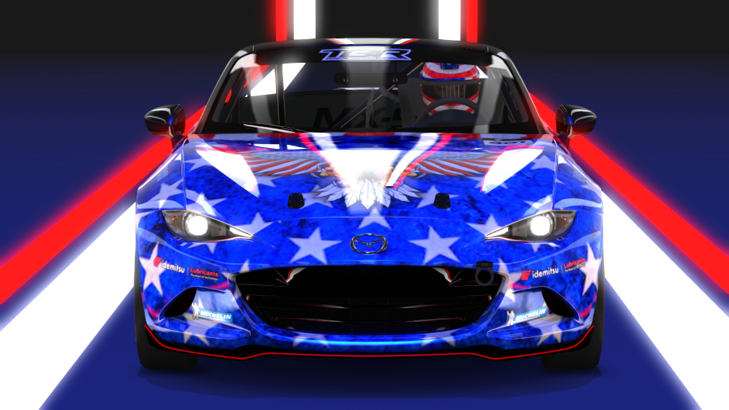 Car Skin
