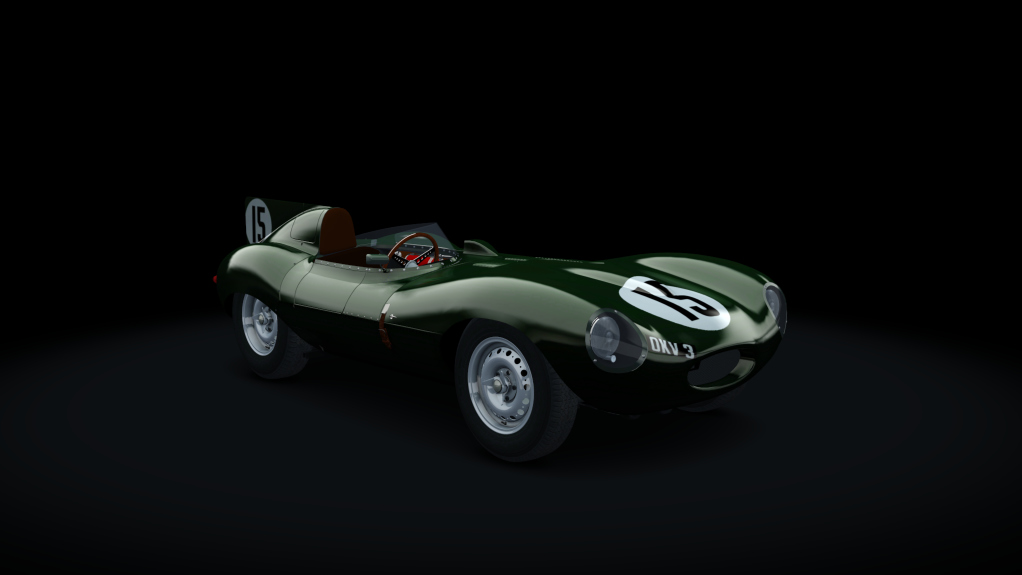 Jaguar'D'Type 1955, skin 15