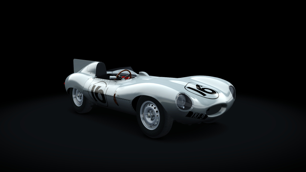 Jaguar'D'Type 1955, skin Murkett_Bros_16