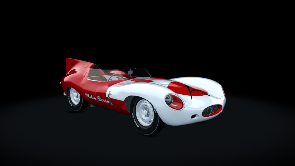 MAC Jaguar D-Type Long Nose, skin Jegunica